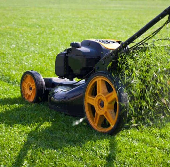 MV Enterprises Products