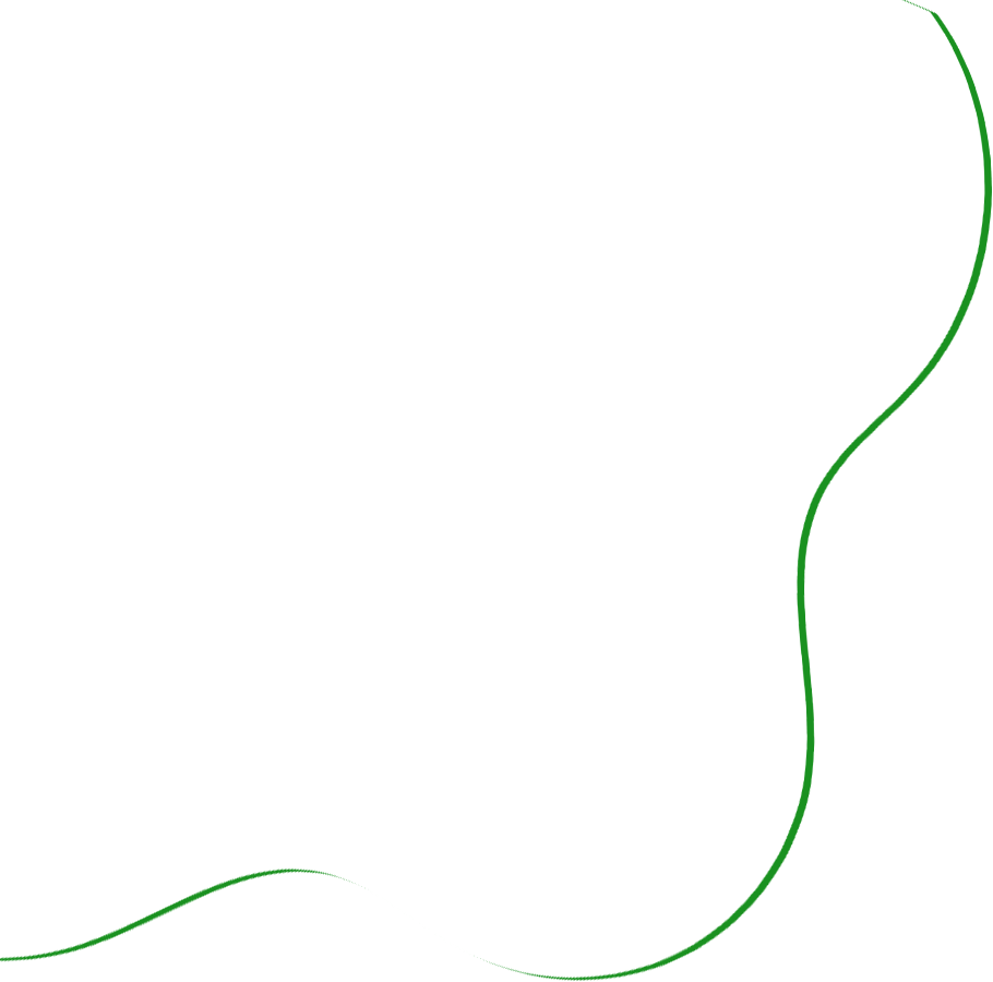 MV Enterprises Products